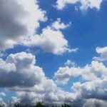images - 2026-06-03T083412.277